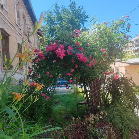 Διαμέρισμα Cozy Σαράγεβο